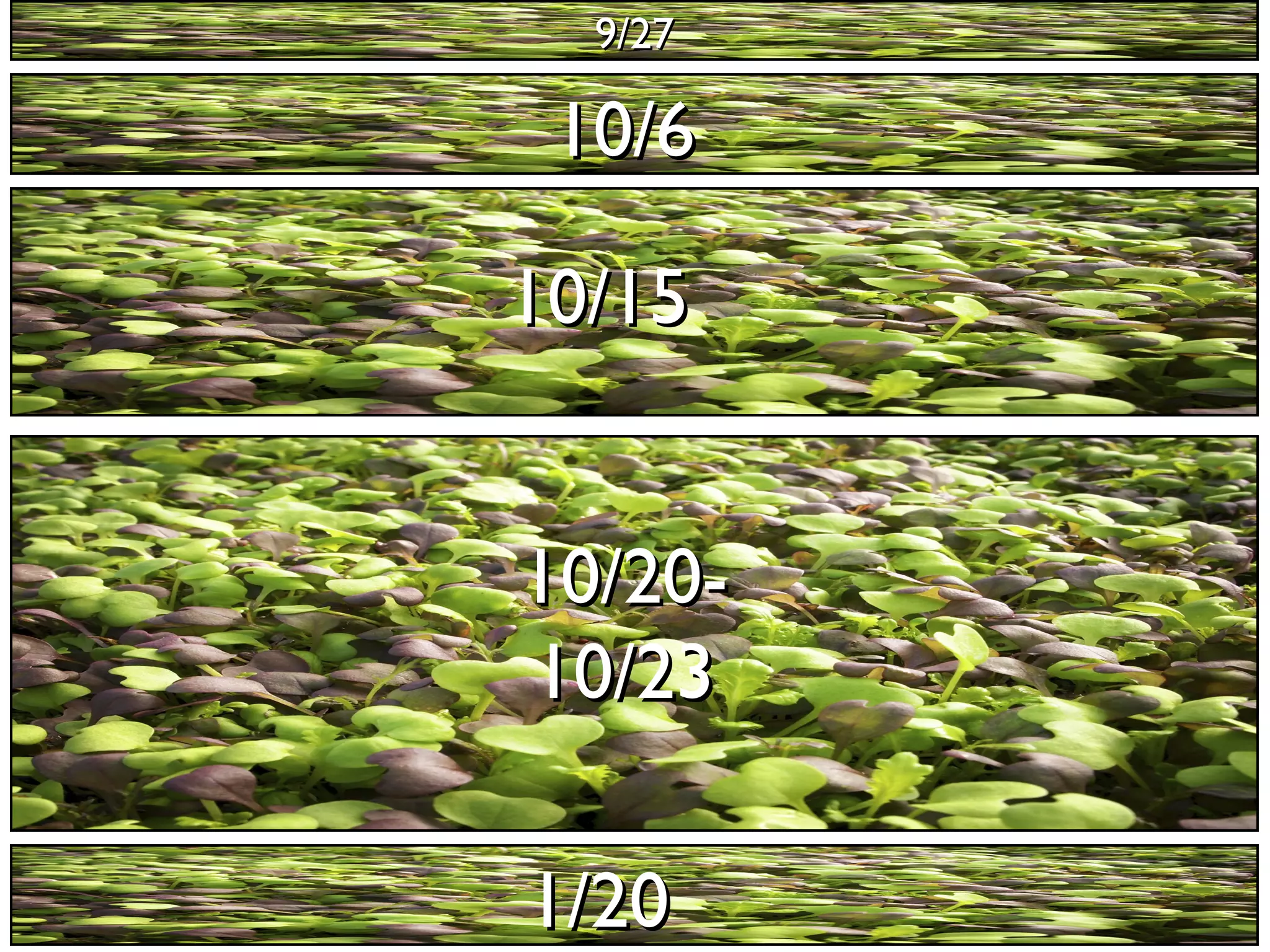 99//2277 
1100//66 
1100//1155 
1100//2200-- 
1100//2233 
11//2200 
 