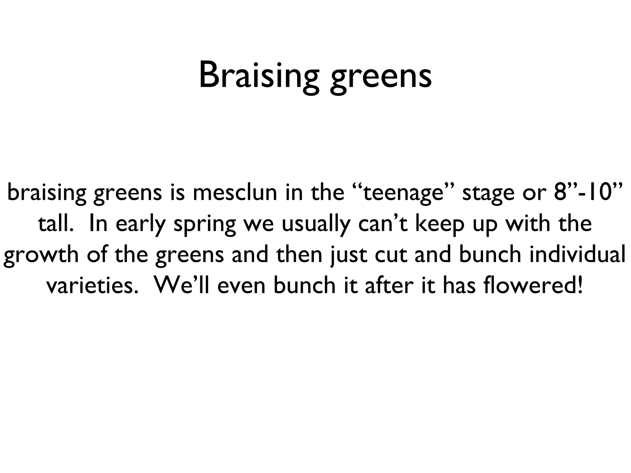 Braising greens 
braising greens is mesclun in the “teenage” stage or 8”-10” 
tall. In early spring we usually can’t keep up with the 
growth of the greens and then just cut and bunch individual 
varieties. We’ll even bunch it after it has flowered! 
 
