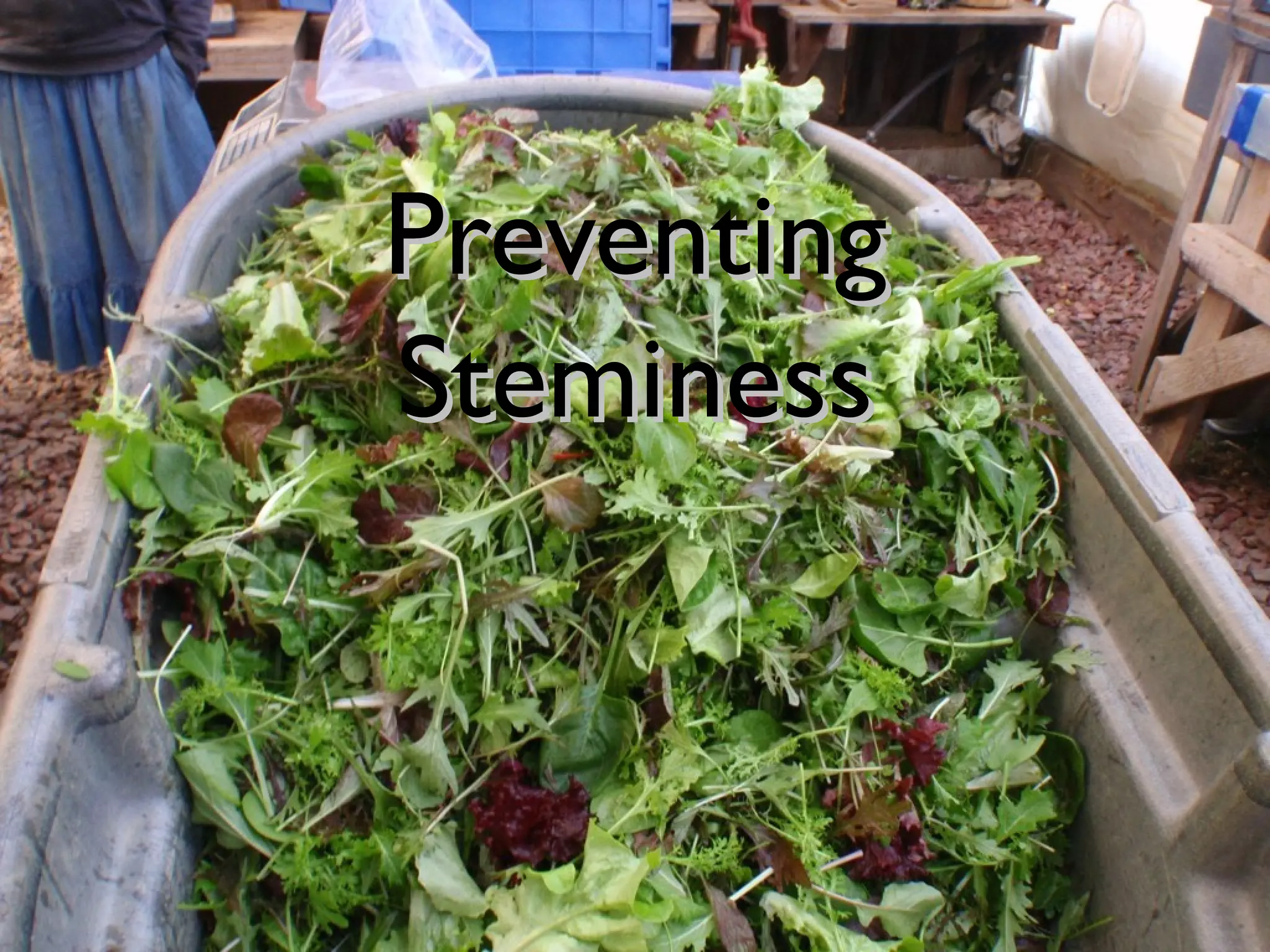 PPrreevveennttiinngg 
SStteemmiinneessss 
 