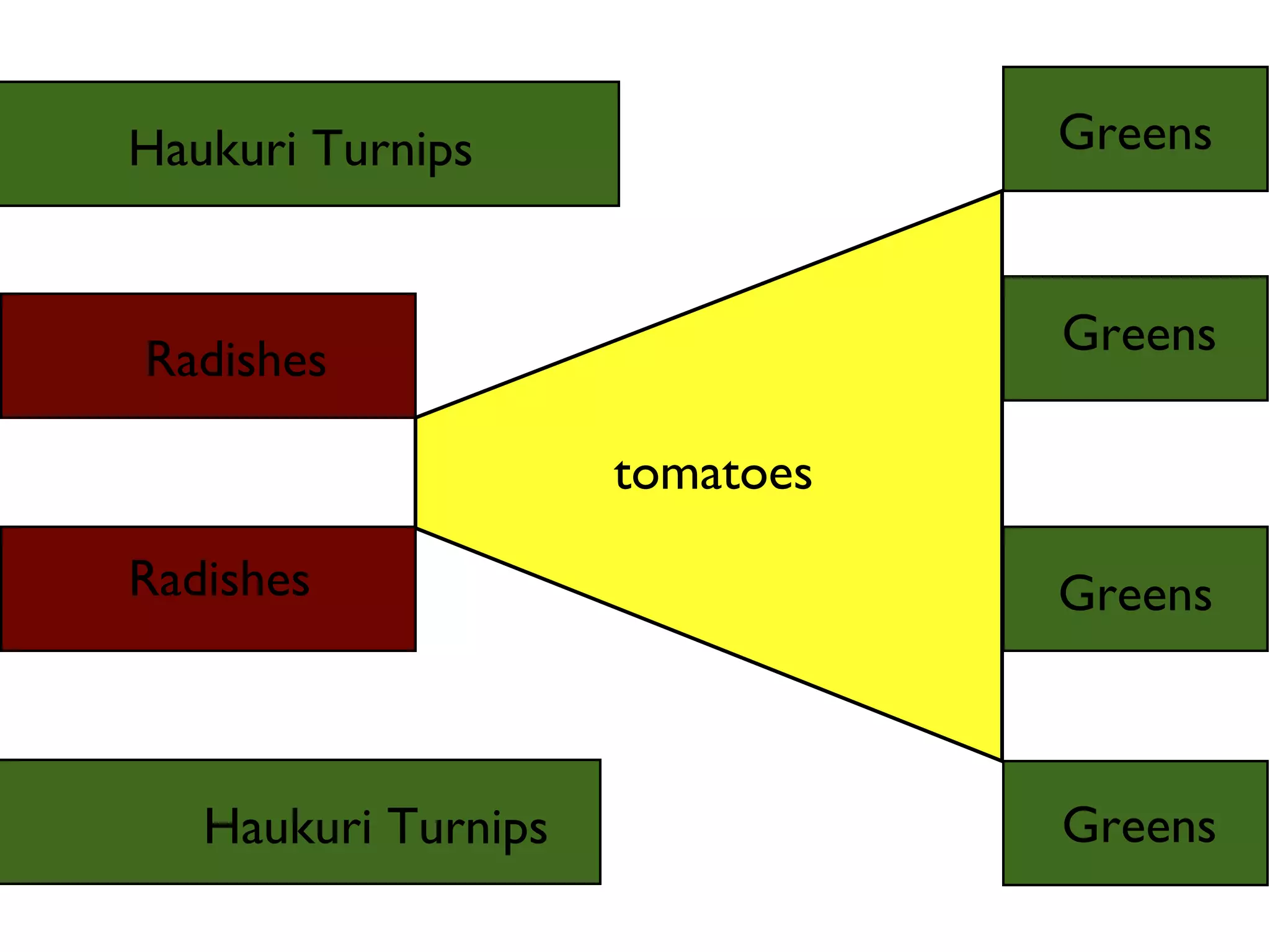 Haukuri Turnips 
Radishes 
Radishes 
Haukuri Turnips 
tomatoes 
Greens 
Greens 
Greens 
Greens 
 