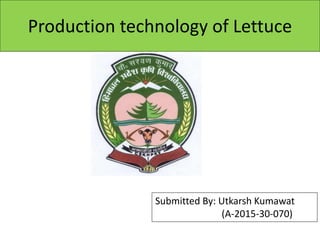 Production technology of Lettuce
Submitted By: Utkarsh Kumawat
(A-2015-30-070)
 