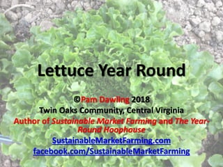Lettuce Year Round
©Pam Dawling 2018
Twin Oaks Community, Central Virginia
Author of Sustainable Market Farming and The Year-
Round Hoophouse
SustainableMarketFarming.com
facebook.com/SustainableMarketFarming
 