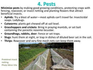 4. Pests
Minimize pests by making good growing conditions, protecting crops with
fencing, rowcover, or insect netting and ...
