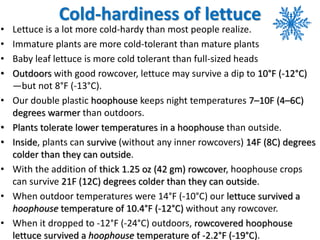 Cold-hardiness of lettuce
• Lettuce is a lot more cold-hardy than most people realize.
• Immature plants are more cold-tol...