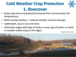Cold Weather Crop Protection
1. Rowcover
• Keep crops alive and productive beyond their normal winter-kill
temperatures.
•...