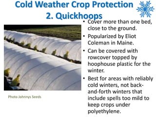Cold Weather Crop Protection
2. Quickhoops
• Cover more than one bed,
close to the ground.
• Popularized by Eliot
Coleman ...