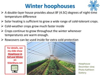Winter hoophouses
 A double-layer house provides about 8F (4.5C) degrees of night-time
temperature difference
 Solar hea...
