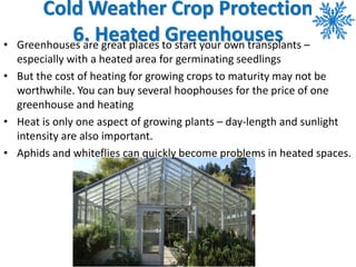 Cold Weather Crop Protection
6. Heated Greenhouses• Greenhouses are great places to start your own transplants –
especiall...