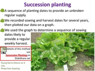 Succession planting
• A sequence of planting dates to provide an unbroken
regular supply.
• We recorded sowing and harvest...