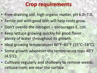 • Free-draining soil, high organic matter, pH 6.0–7.0.
• Fertile soil with good tilth will help roots grow.
• Don’t overdo...
