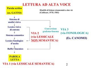 2
LETTURA AD ALTA VOCE
Parola scritta
(es. GATTO)
Sistema di
analisi visiva
Lessico visivo
di entrata
Sistema semantico
Lessico fonologico
d’uscita
Buffer fonemico
PAROLA
LETTA
VIA 1 (via LESSICALE SEMANTICA)
VIA 2
(via LESSICALE
NON SEMANTICA)
Conversione
grafema-fonema
VIA 3
(via FONOLOGICA)
Modello di lettura strumentale a due vie
(Coltheart, 1978; 1981)
(Es. CANOMO)
 