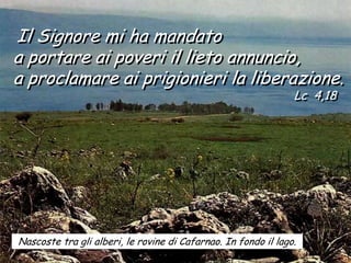 Il Signore mi ha mandato
a portare ai poveri il lieto annuncio,
a proclamare ai prigionieri la liberazione.
                                                                Lc 4,18




Nascoste tra gli alberi, le rovine di Cafarnao. In fondo il lago.
 