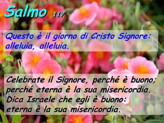 Salmo      117


Questo è il giorno di Cristo Signore:
alleluia, alleluia.


Celebrate il Signore, perché è buono;
perché eterna è la sua misericordia.
Dica Israele che egli è buono:
eterna è la sua misericordia.
 