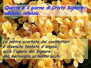 Questo è il giorno di Cristo Signore:
alleluia, alleluia.




La pietra scartata dai costruttori
è divenuta testata d'angolo;
ecco l'opera del Signore:
una meraviglia ai nostri occhi.
 