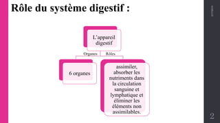 2/17/2019
2
L’appareil
digestif
6 organes
assimiler,
absorber les
nutriments dans
la circulation
sanguine et
lymphatique et
éliminer les
éléments non
assimilables.
RôlesOrganes
Rôle du système digestif :