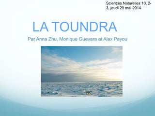 LA TOUNDRA
Par Anna Zhu, Monique Guevara et Alex Payou
Sciences Naturelles 10, 2-
3, jeudi 29 mai 2014
 
