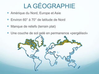 LA GÉOGRAPHIE
 Amérique du Nord, Europe et Asie
 Environ 60° à 70° de latitude de Nord
 Manque de reliefs (terrain plat)
 Une couche de sol gelé en permanence «pergélisol»
 