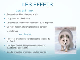 LES EFFETS
Les animaux
 Adaptent aux hivers longs et froids
 La graisse pour la chaleur
 L’hibernation (manque de nourriture) ou la migration
 Se reproduisent, élèvent progéniture pendant
le printemps
Les plantes
 Poussent près le sol pour absorber le chaleur du
sol foncé
 Les tiges, feuilles, bourgeons couverts d’un
duvet (protégé du vent)
 Courts, groupées ensemble, pétales tournés
 