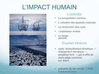 L’IMPACT HUMAIN
L’activités
 La transportation maritime
 L’ utilisation des appareils motorisés
 La construction (des rues)
 L’exploitation minière
 Le forage
pétrolier
D’autres facteurs
 cycle: réchauffement climatique →
changement climatique →
pergélisol fond → gaz à effet de
serre piégé (carbone)
est libéré
 polluants de l’air circulé → POP,
métauxs lourdes
 