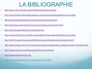 LA BIBLIOGRAPHIE
 http://www.ucmp.berkeley.edu/exhibits/biomes/tundra.php
 http://environment.nationalgeographic.com/environment/habitats/tundra-profile/
 http://www.thewildclassroom.com/biomes/arctictundra.html
 http://www.hww.ca/en/where-they-live/canadas-arctic-tundra.html
 http://www.blueplanetbiomes.org/tundra.htm
 http://www.bornfree.org.uk/wild-crew/habitat-conservation/habitat/arctic-tundra/
 http://cwf-fcf.org/en/discover-wildlife/flora-fauna/flora/bearberrybearberry.html
 http://www.antiopa.info/127-anemone-pulsatille-pulsatilla-fleur-violette-causse-montagne.htm
 http://www.tutorvista.com/biology/list-of-tundra-animals
 http://www.tundraanimals.net/
 http://www.greenwichschools.org/page.cfm?p=3616
 