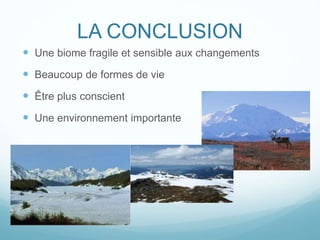 LA CONCLUSION
 Une biome fragile et sensible aux changements
 Beaucoup de formes de vie
 Être plus conscient
 Une environnement importante
 