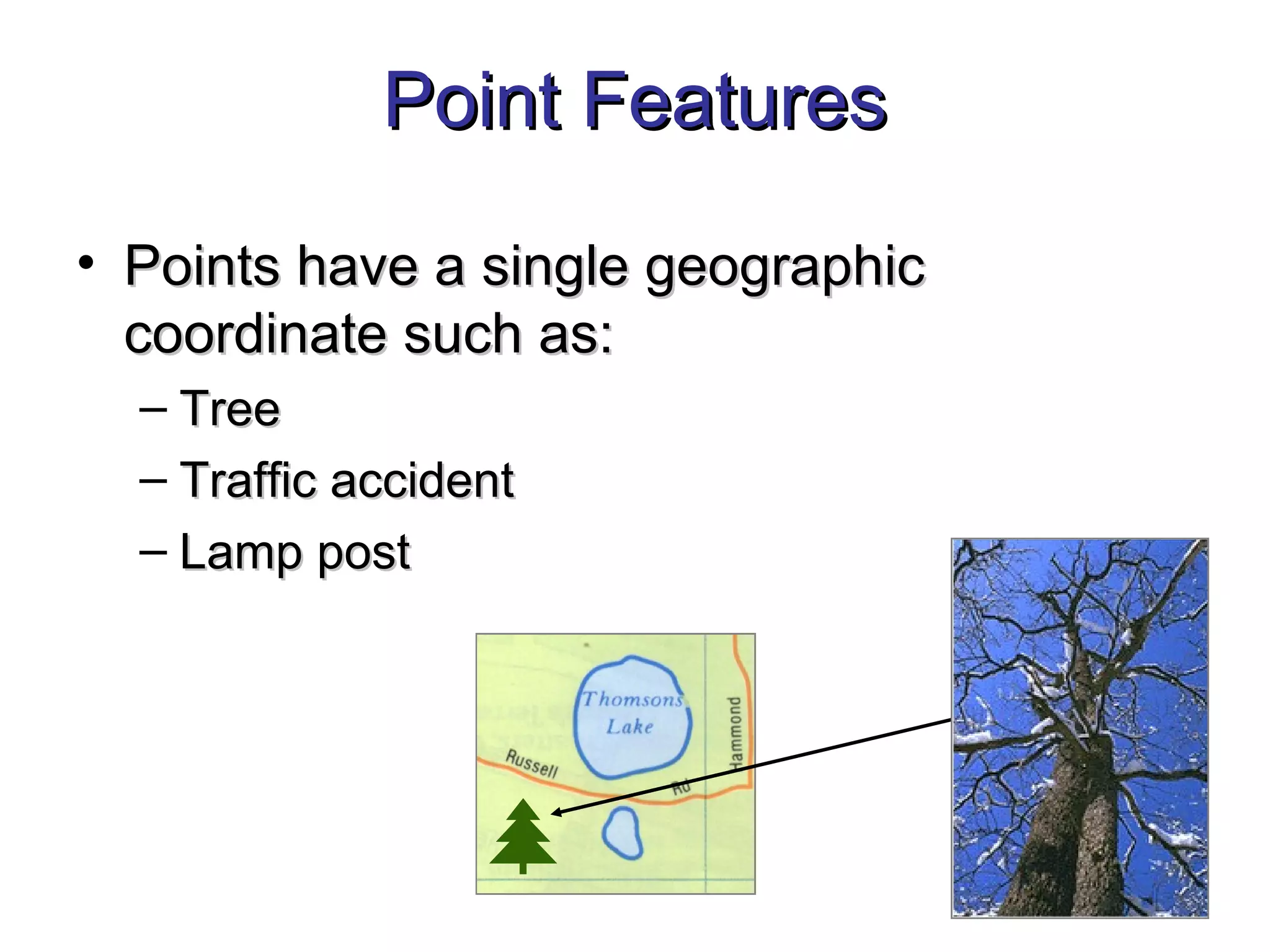 Point FeaturesPoint Features
• Points have a single geographicPoints have a single geographic
coordinate such as:coordinate such as:
– TreeTree
– Traffic accidentTraffic accident
– Lamp postLamp post
 