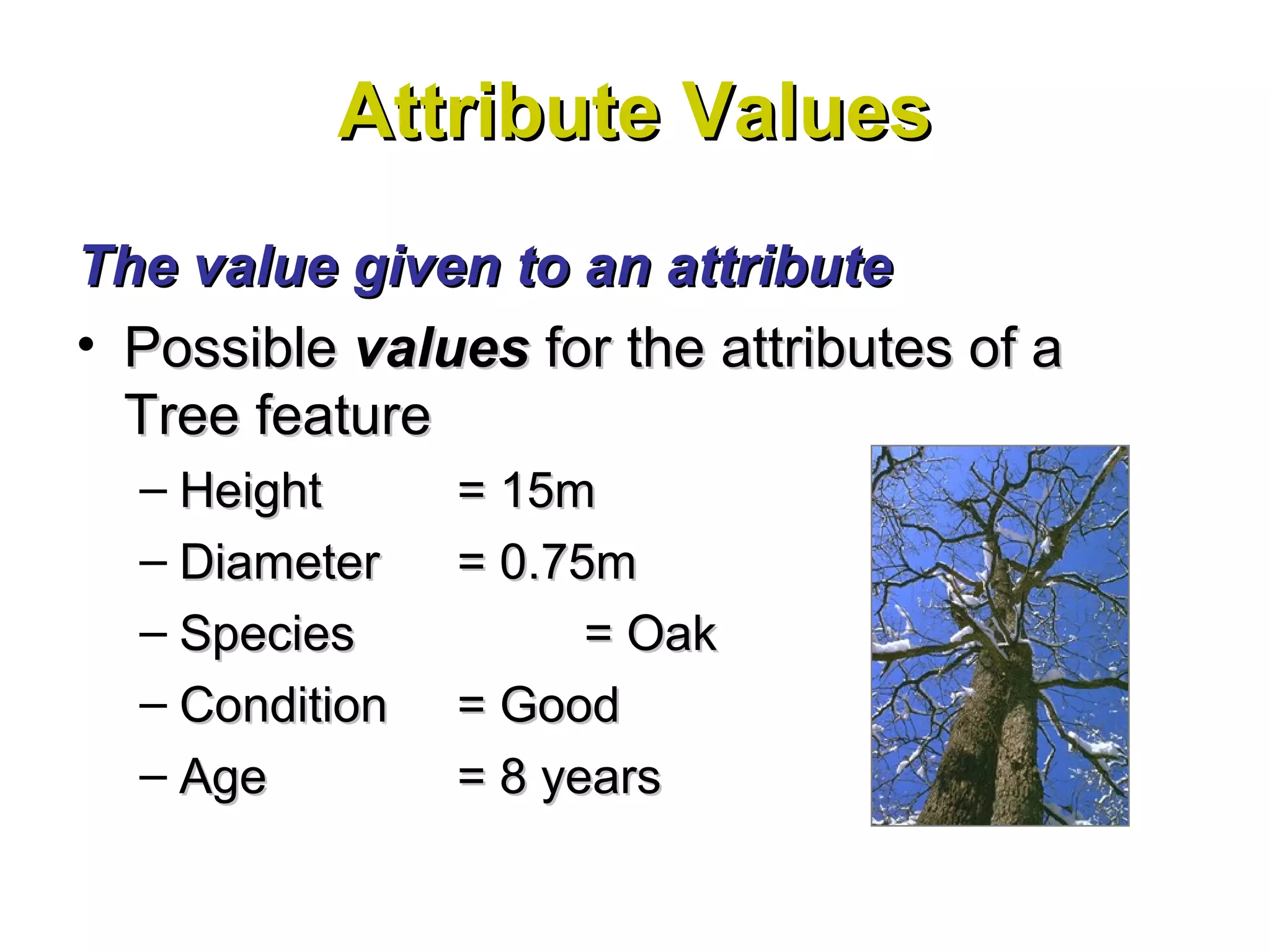 Attribute ValuesAttribute Values
The value given to an attributeThe value given to an attribute
• PossiblePossible valuesvalues for the attributes of afor the attributes of a
Tree featureTree feature
– HeightHeight = 15m= 15m
– DiameterDiameter = 0.75m= 0.75m
– SpeciesSpecies = Oak= Oak
– ConditionCondition = Good= Good
– AgeAge = 8 years= 8 years
 