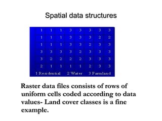 Spatial data structuresSpatial data structures
Raster data files consists of rows ofRaster data files consists of rows of
uniform cells coded according to datauniform cells coded according to data
vvalues- Land cover classes is a finealues- Land cover classes is a fine
example.example.
 