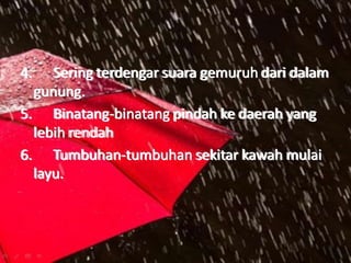 4. Sering terdengar suara gemuruh dari dalam
gunung.
5. Binatang-binatang pindah ke daerah yang
lebih rendah
6. Tumbuhan-tumbuhan sekitar kawah mulai
layu.
 