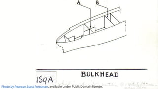 Photo by Pearson Scott Foresman, available under Public Domain license.
 