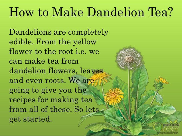 Can You Drink Yellow Root Tea With Food Can You Drink Yellow Root Tea With Food