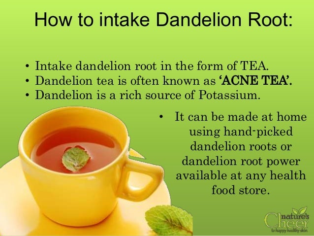 Best Time Drink Dandelion Root Tea Best Time Drink Dandelion Root Tea