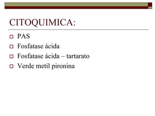CITOQUIMICA:
   PAS
   Fosfatase ácida
   Fosfatase ácida – tartarato
   Verde metil pironina
 