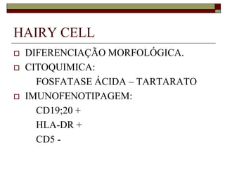 HAIRY CELL
   DIFERENCIAÇÃO MORFOLÓGICA.
   CITOQUIMICA:
      FOSFATASE ÁCIDA – TARTARATO
   IMUNOFENOTIPAGEM:
      CD19;20 +
      HLA-DR +
      CD5 -
 