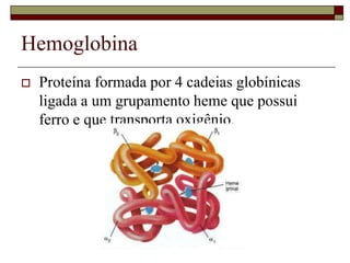 Hemoglobina
   Proteína formada por 4 cadeias globínicas
    ligada a um grupamento heme que possui
    ferro e que transporta oxigênio.
 