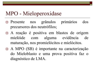 MPO - Mieloperoxidase
   Presente nos grânulos primários dos
    precursores dos neutrófilos;
   A reação é positiva em blastos de origem
    mielóide com alguma evidência de
    maturação, nos promielócitos e mielócitos.
   A MPO (SB) é importante na caracterização
    do Mieloblasto e uma prova positiva faz o
    diagnóstico de LMA.
 