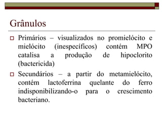 Grânulos
   Primários – visualizados no promielócito e
    mielócito (inespecíficos) contém MPO
    catalisa    a   produção   de  hipoclorito
    (bactericida)
   Secundários – a partir do metamielócito,
    contém lactoferrina quelante do ferro
    indisponibilizando-o para o crescimento
    bacteriano.
 