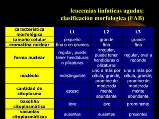leucemias linfaticas agudas:  clasificación morfologica (FAB)   
