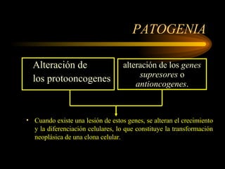 PATOGENIA Alteración de  los protooncogenes Cuando existe una lesión de estos genes, se alteran el crecimiento y la diferenciación celulares, lo que constituye la transformación neoplásica de una clona celular. alteración de los  genes supresores  o  antioncogenes . 
