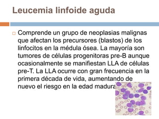 Leucemia linfática crónicaEs una enfermedad, un tipo de leucemia o cáncer de la sangre que afecta a los glóbulos blancos o leucocitos. En este cáncer los linfocitos un tipo de glóbulos blancos, maduros pero incapaces de cumplir su función inmunológica, prolongan su vida anormalmente al disminuir su muerte programada (apoptosis) por lo que aumenta lentamente su número observándose una proliferación en los recuentos sanguíneos y en la médula ósea.