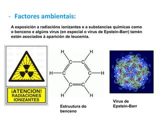 - Factores ambientais:
A exposición a radiacións ionizantes e a substancias químicas como
o benceno e algúns virus (en especial o virus de Epstein-Barr) tamén
están asociados á aparición de leucemia.




                                                    Virus de
                         Estruutura do              Epstein-Barr
                         benceno
 