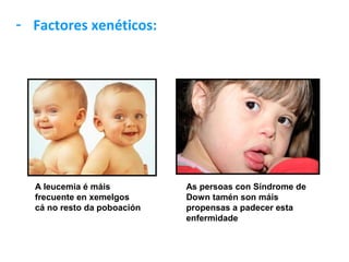 - Factores xenéticos:




  A leucemia é máis          As persoas con Síndrome de
  frecuente en xemelgos      Down tamén son máis
  cá no resto da poboación   propensas a padecer esta
                             enfermidade
 