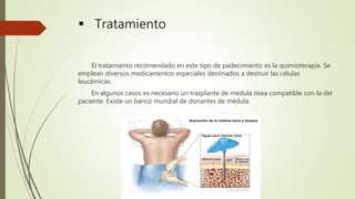  Tratamiento
El tratamiento recomendado en este tipo de padecimiento es la quimioterapia. Se
emplean diversos medicamentos especiales destinados a destruir las células
leucémicas.
En algunos casos es necesario un trasplante de médula ósea compatible con la del
paciente. Existe un banco mundial de donantes de médula.
 