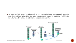  La falta relativa de éxito terapéutico en adultos corresponde a la alta tasa de casos
con alteraciones genéticas de mal pronósticos como el oncogen BCR-ABL
resultante del reordenamiento de los cromosomas 9 y 22.
Hematologia, Williams, sexta edicion; 2007.
 