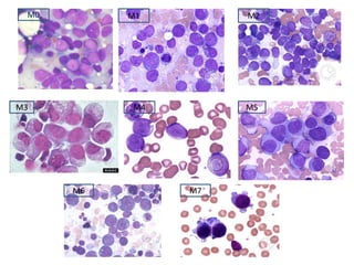 M0 M1 M2
M3 M4 M5
M6 M7
 