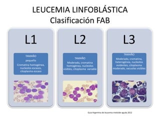 LEUCEMIA LINFOBLÁSTICA
Clasificación FAB
L1
TAMAÑO
pequeño
Cromatina homogénea,
nucleolos escasos,
citoplasma escaso
L2
TAMAÑO
Moderado, cromatina
homogénea, nucleolos
visibles, citoplasma variable
L3
TAMAÑO
Moderado, cromatina,
heterogénea, nucleolos
evidentes, citoplasma
moderado, vacuolas visibles
Guia Argentina de leucemia mieloide aguda 2012
 