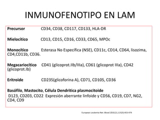 INMUNOFENOTIPO EN LAM
Precursor CD34, CD38, CD117, CD133, HLA-DR
Mielocítico CD13, CD15, CD16, CD33, CD65, MPOc
Monocítico Esterasa No Específica (NSE), CD11c, CD14, CD64, lisozima,
CD4,CD11b, CD36.
Megacariocítico CD41 (glicoprot.IIb/IIIa), CD61 (glicoprot IIIa), CD42
(glicoprot.Ib)
Eritroide CD235(glicoforina A), CD71, CD105, CD36
Basófilo, Mastocito, Célula Dendritica plasmocitoide
D123, CD203, CD22 Expresión aberrante linfoide y CD56, CD19, CD7, NG2,
CD4, CD9
European Leukemia Net. Blood 2010;21,115(3):453-474
 