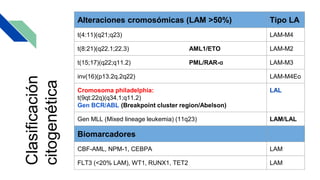 Alteraciones cromosómicas (LAM >50%) Tipo LA
t(4:11)(q21;q23) LAM-M4
t(8:21)(q22.1;22.3) AML1/ETO LAM-M2
t(15;17)(q22;q11.2) PML/RAR-α LAM-M3
inv(16)(p13.2q.2q22) LAM-M4Eo
Cromosoma philadelphia:
t(9qt:22q)(q34.1;q11.2)
Gen BCR/ABL (Breakpoint cluster region/Abelson)
LAL
Gen MLL (Mixed lineage leukemia) (11q23) LAM/LAL
Biomarcadores
CBF-AML, NPM-1, CEBPA LAM
FLT3 (<20% LAM), WT1, RUNX1, TET2 LAM
Clasificación
citogenética
 