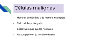 Células malignas
- Maduran con lentitud y de manera incompleta
- Ciclo celular prolongado
- Sobreviven más que las normales
- No cumplen con su misión ordinaria
 