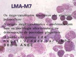 LMA-M7●Os mega-carioblastos leucêmicos são altamente polimórficos.● A origem mega-carioblástica é confirmada com base na morfologia ultra-estrutural ou demonstração da peroxidase plaquetária.● O padrão cito químico é de negatividade para MPO, SBB e ANBE